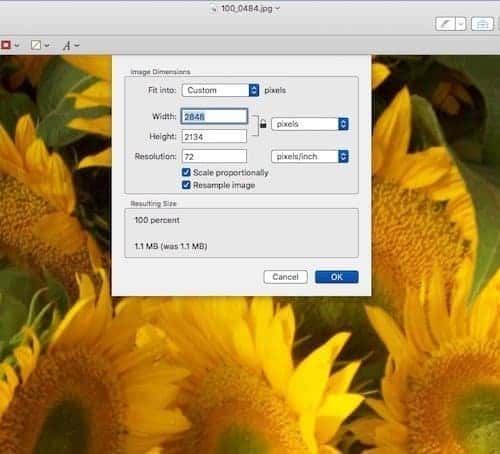 How To Reduce Pic Size On Mac