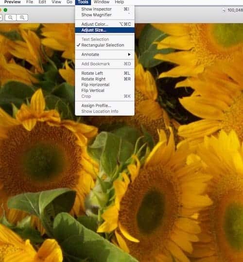 How to resize an image on a Mac - select tools.