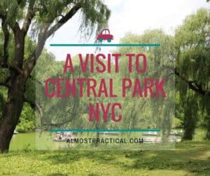 Visit Central Park in New York City