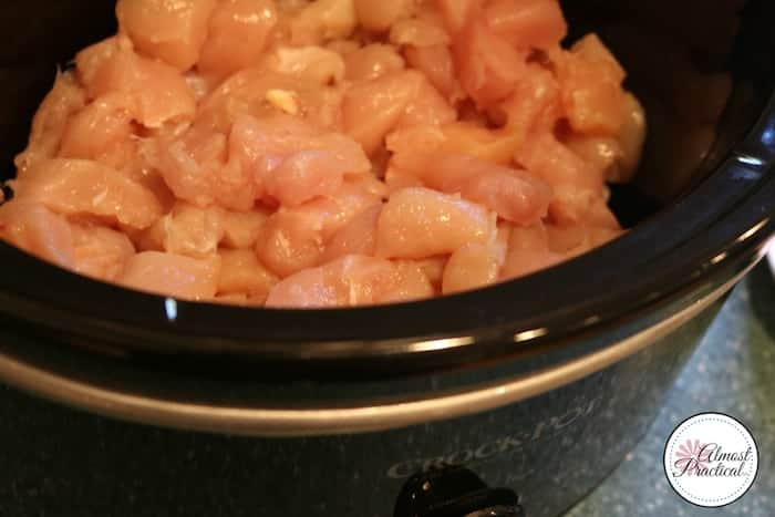 place chicken in the crock pot