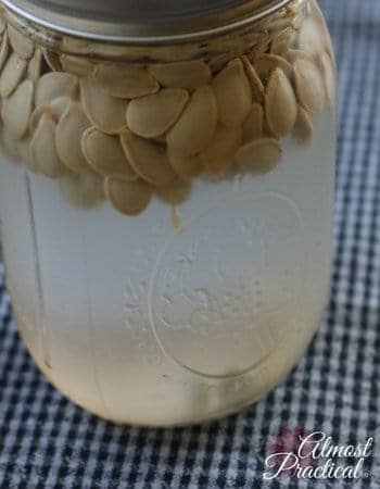 Soaking the pumpkin seeds in salted water.