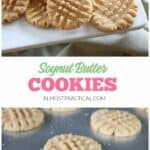 This soynut butter cookie recipe is a great alternative for people that have a peanut allergy.