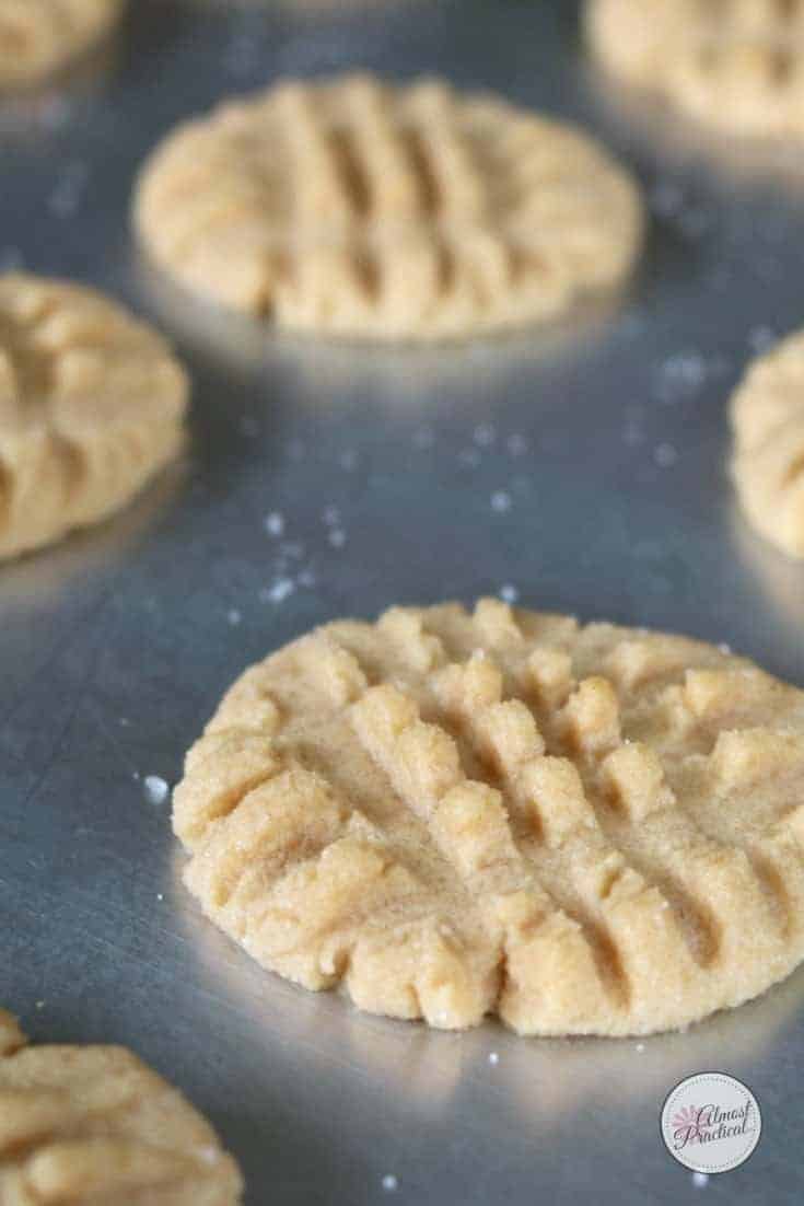 This soynut butter cookie recipe is a great alternative for people that have a peanut allergy.