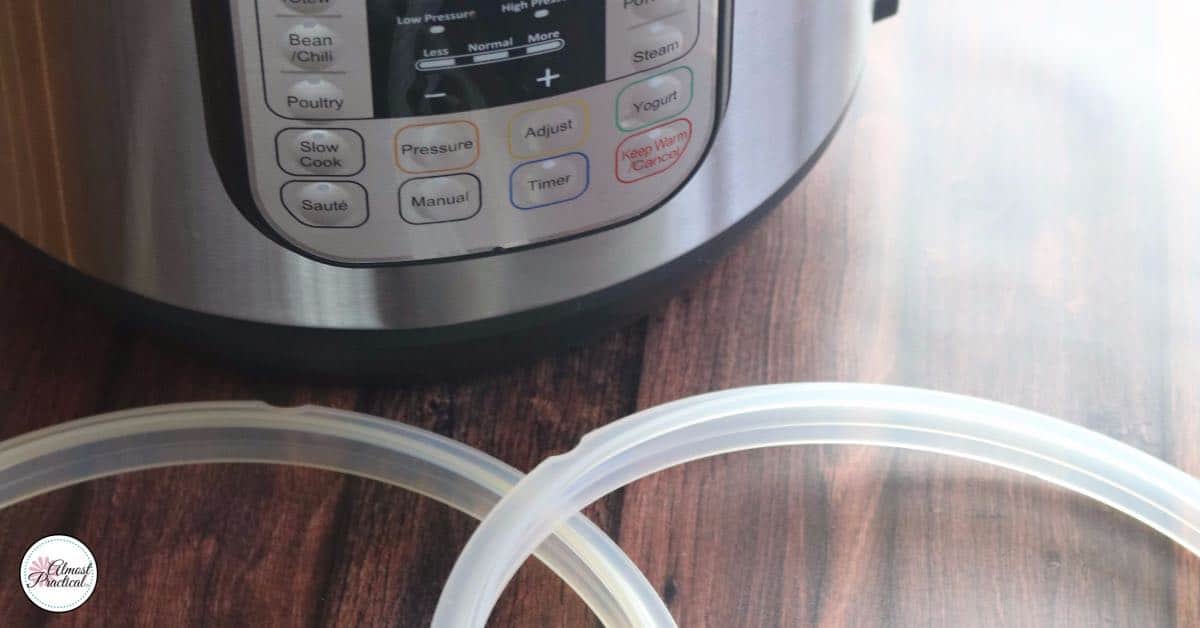 The Instant Pot silicone ring tends to pick up odors - and it is hard to clean and deodorize. This is the best solution.