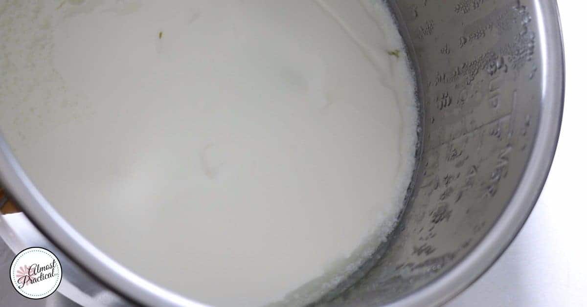 Finished Instant Pot Yogurt.