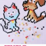 photo of dog and cat made with Jixelz toy kit