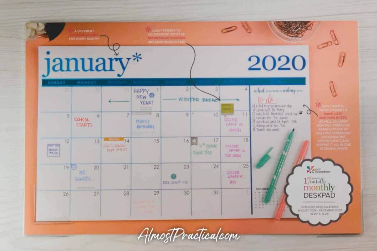 2020 Erin Condren Desk Calendar