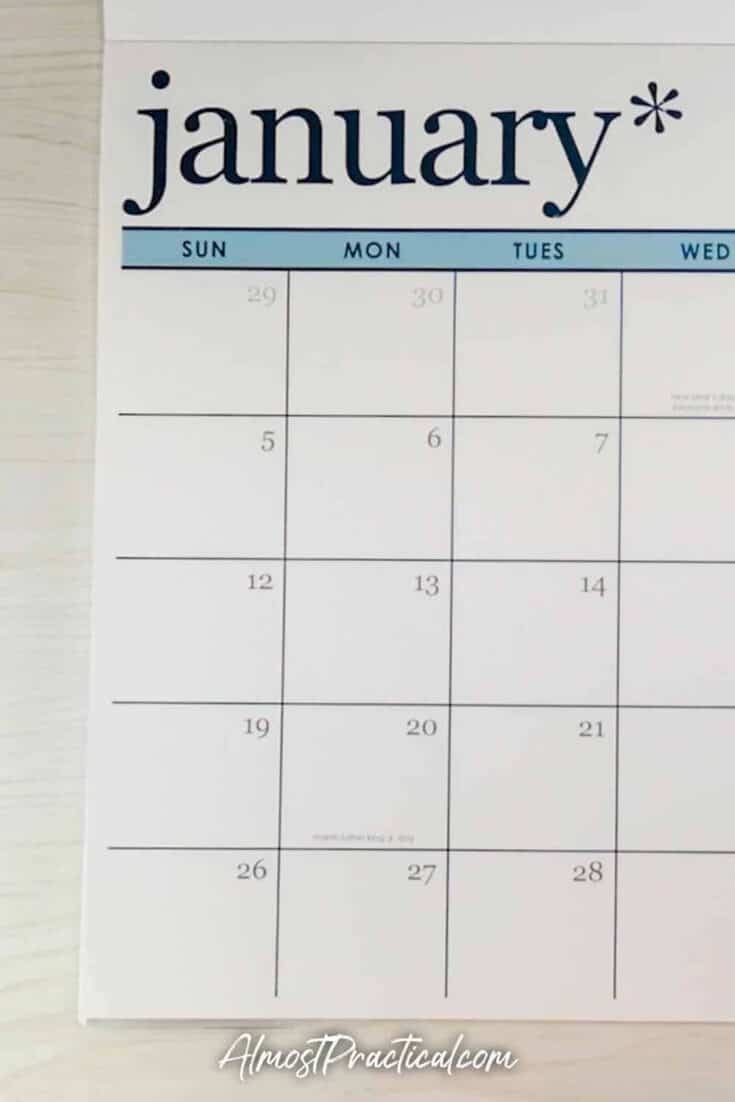 January page of the 2020 Erin Condren Desk Calendar