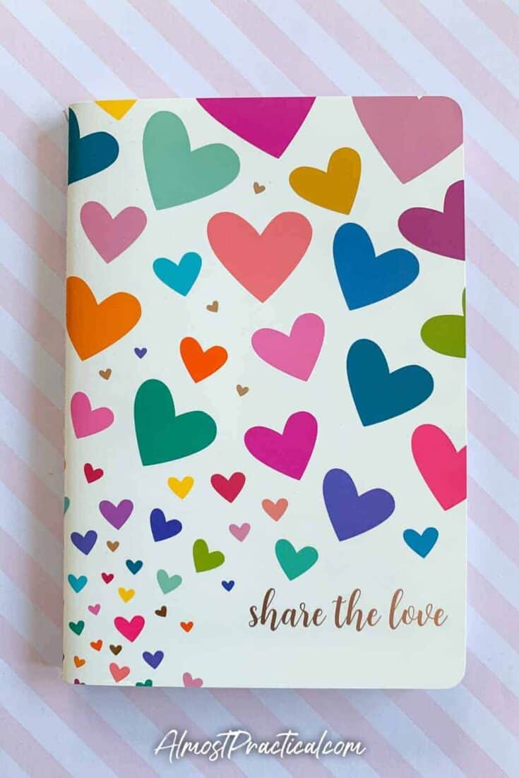 The Erin Condren Share the Love Petite Planner