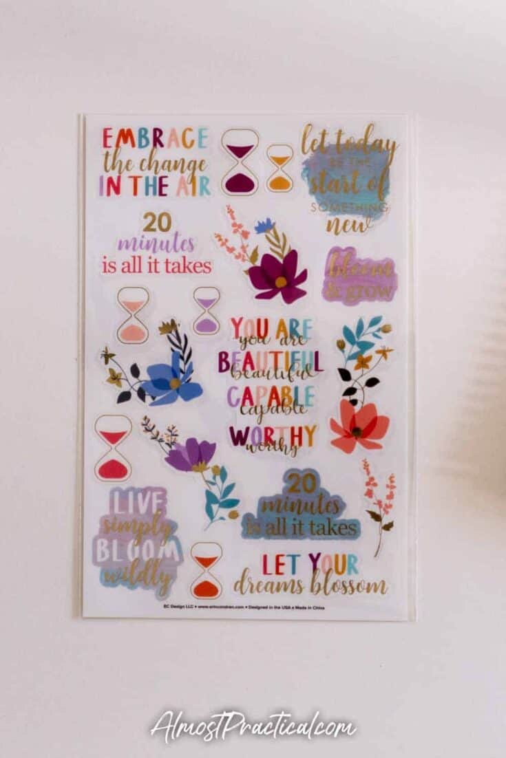 Erin Condren spring themed clear sticker sheet