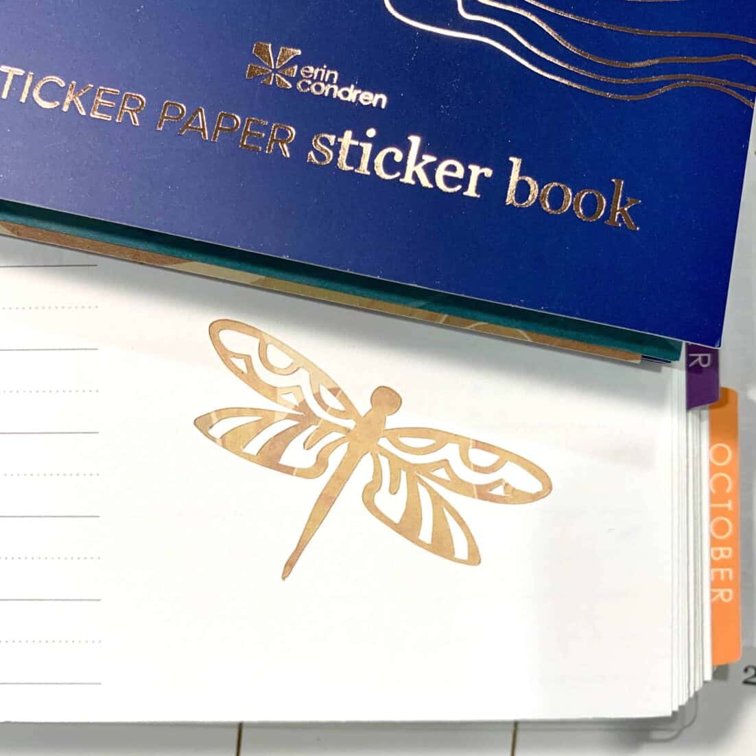 dragonfly sticker in my Erin Condren LifePlanner Duo planner