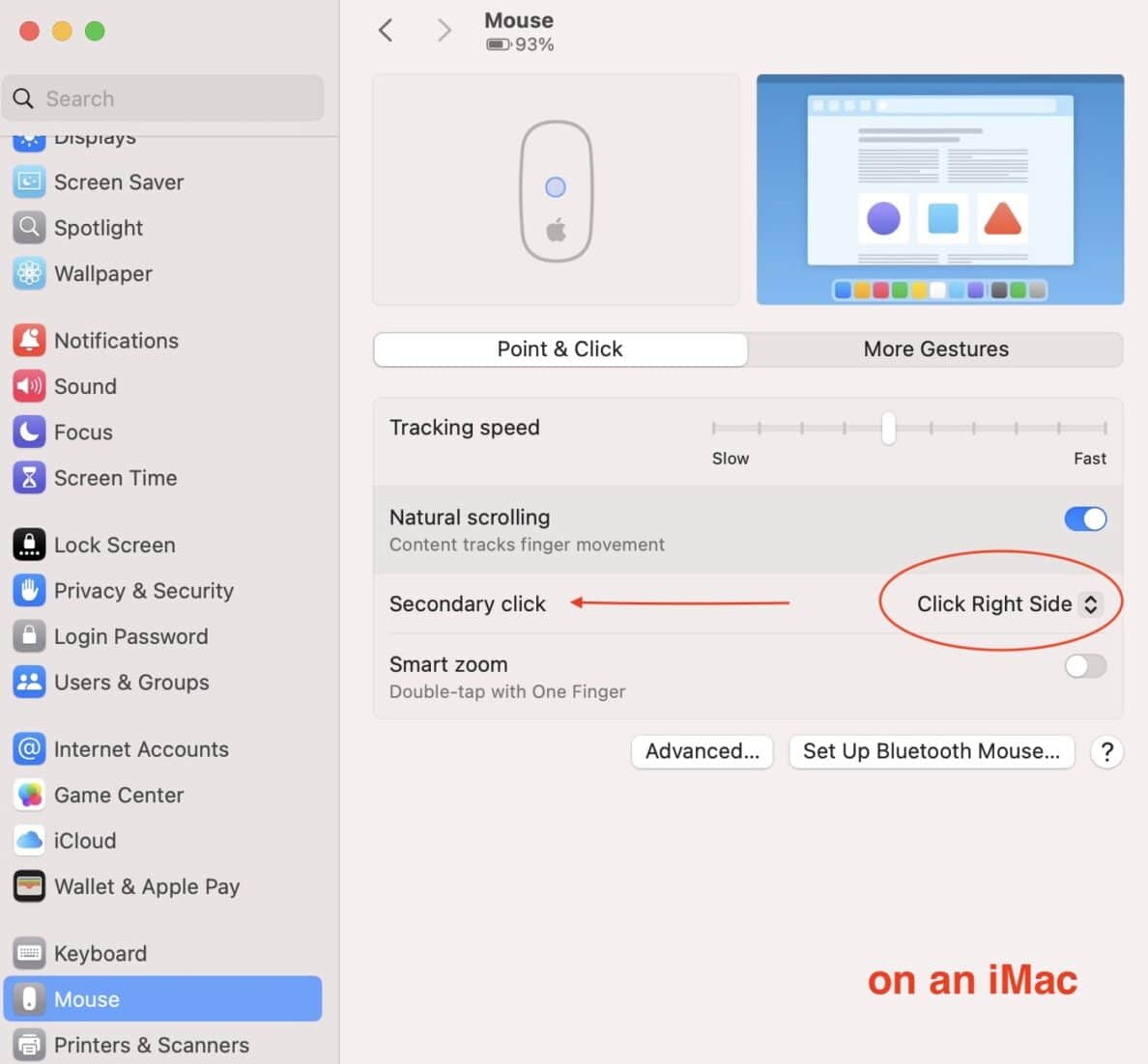 a screenshot of the mouse settings on an iMac