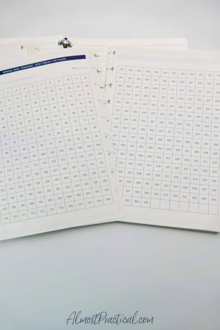 Goal tracking pages for The Perfect Notebook