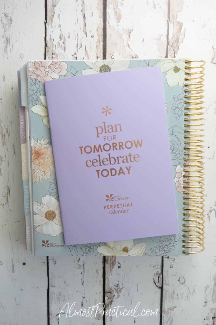 Flora A5 Ring Agenda Cover Gold by Erin Condren | 2023