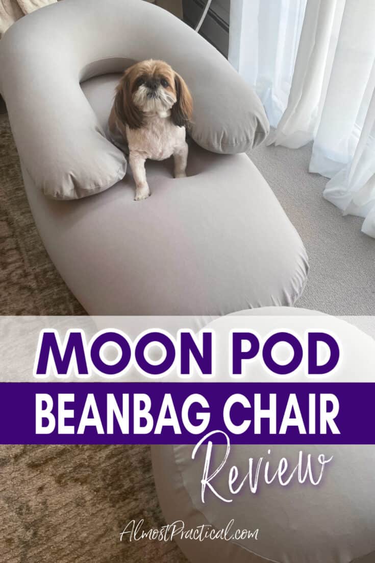 shih tzu sitting on a gray Moon Pod brand bean bag chair