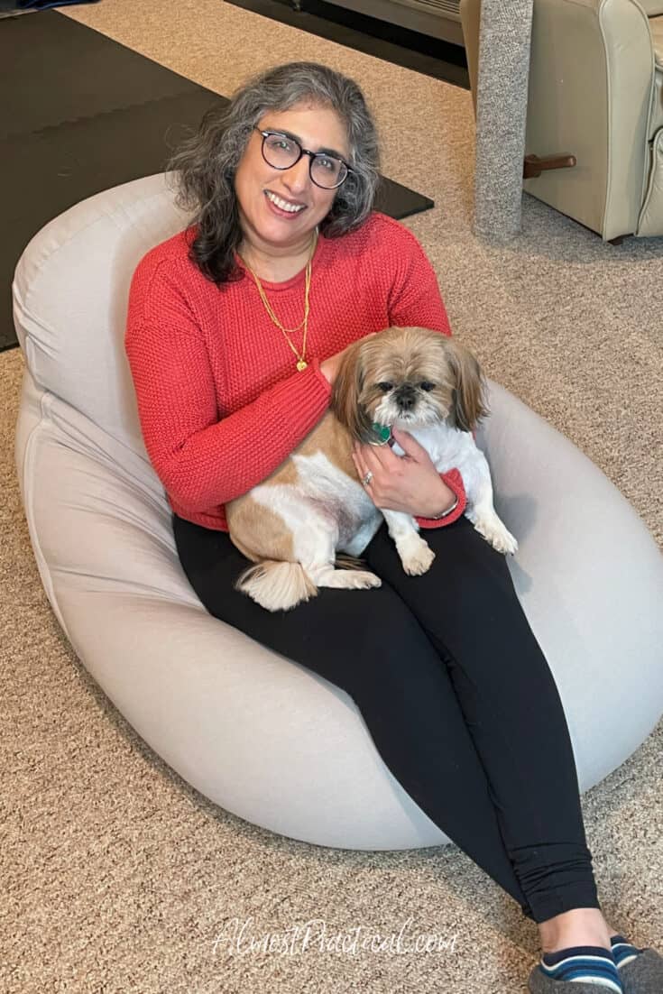 person holding shih tzu on a beanbag chair