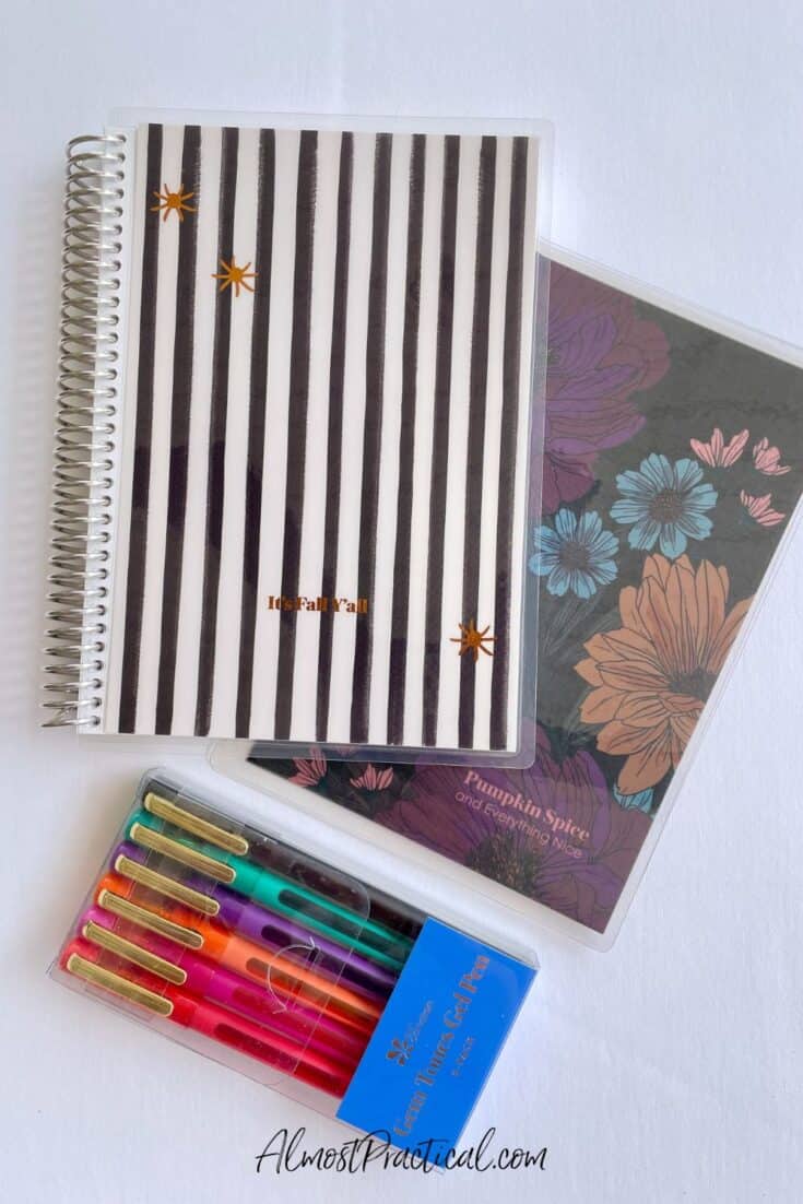 a 5x7 spiral bound notebook with a Halloween themed black and white vertical strip cover with a sprinkling of three small spiders in gold. Plus another cover and a set of jewel toned gel pens.