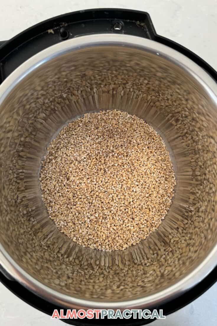 uncooked steel cut oats inside the inner pot of an Instant Pot