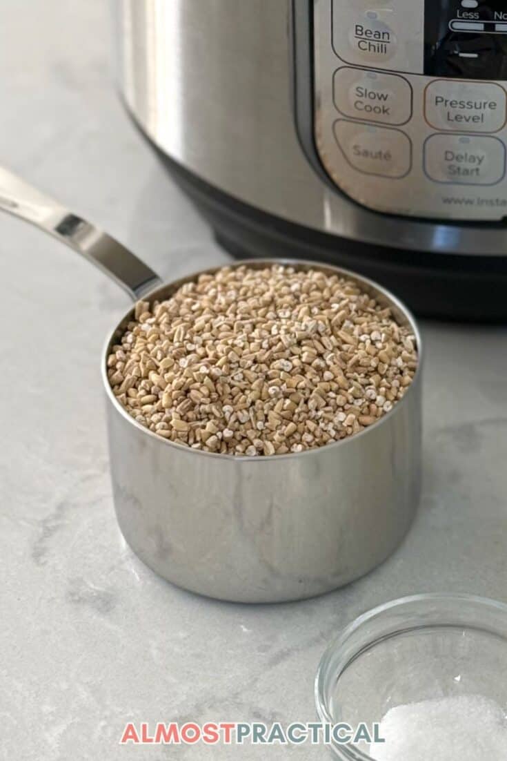 A stainless steel measuring cup filled with uncooked steel cut oats