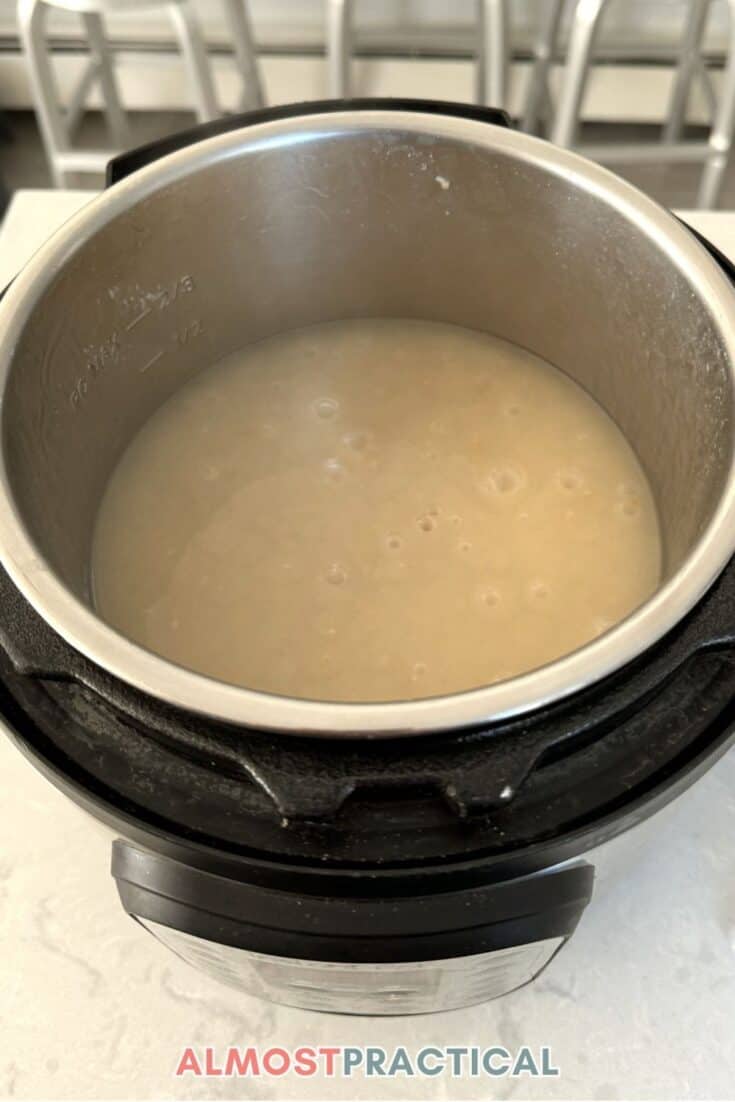 steel cut oatmeal inside the inner pot of the instant pot