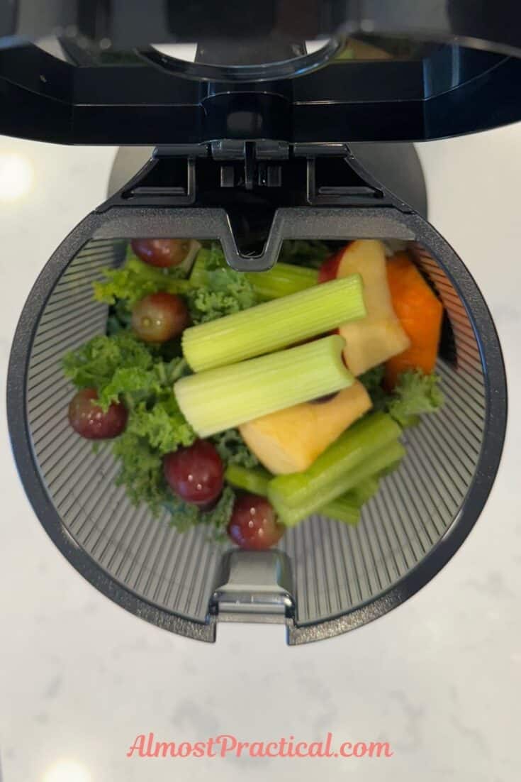 The hopper of the Hurom H400 juicer filled with fresh fruits and vegetables like celery, kale, red grapes, apple chunks, and carrots.