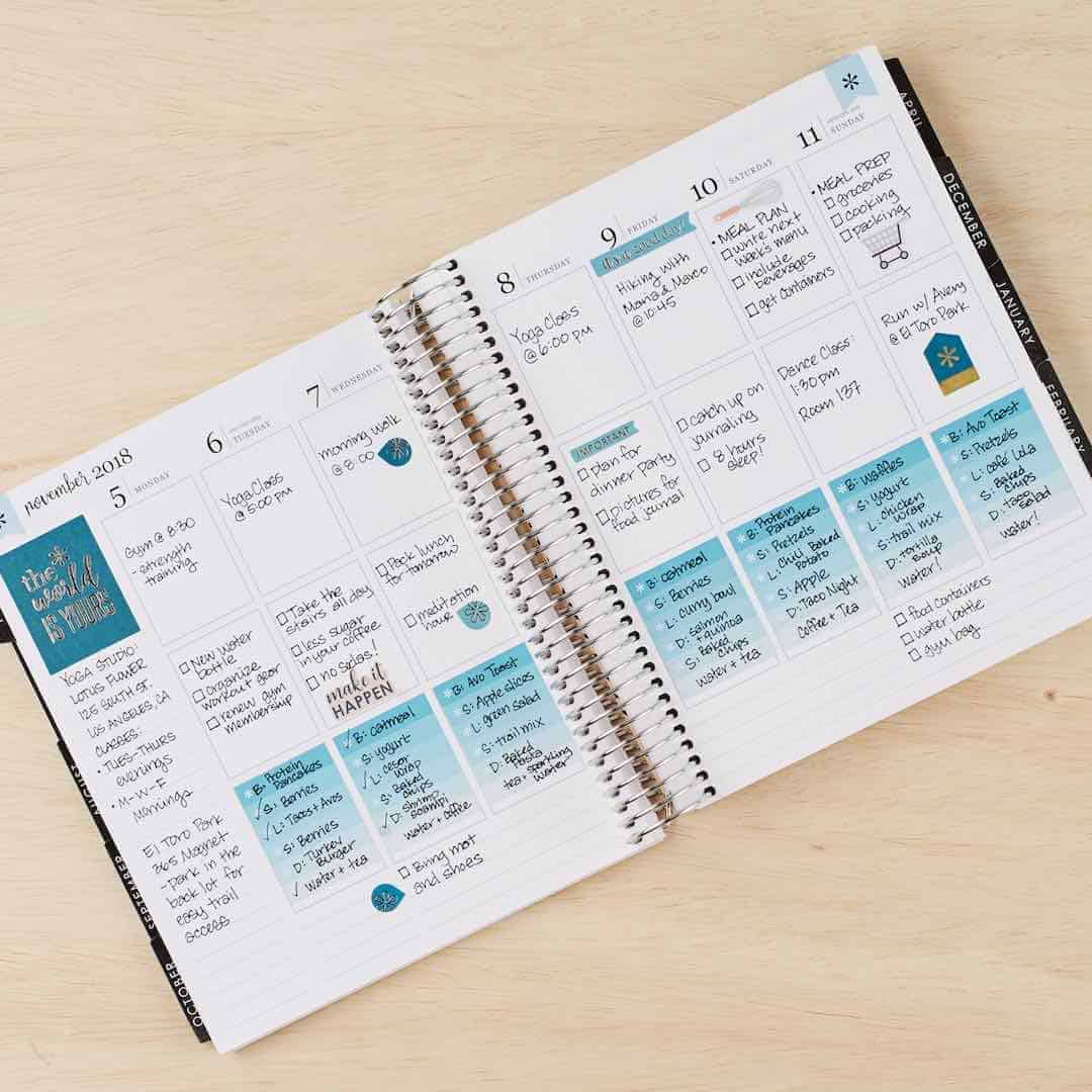 erin condren neutral theme life planner