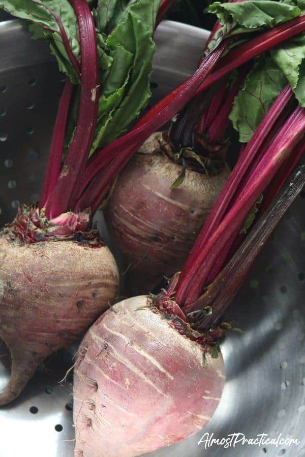 Fresh beets in online instant pot