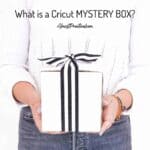woman holding white gift box with black and white stripe ribbon